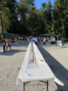 Štrudelj na P. tržnici 16.9 (5)